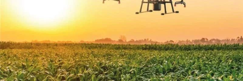 IA y drones: una revolución para optimizar la gestión agrícola