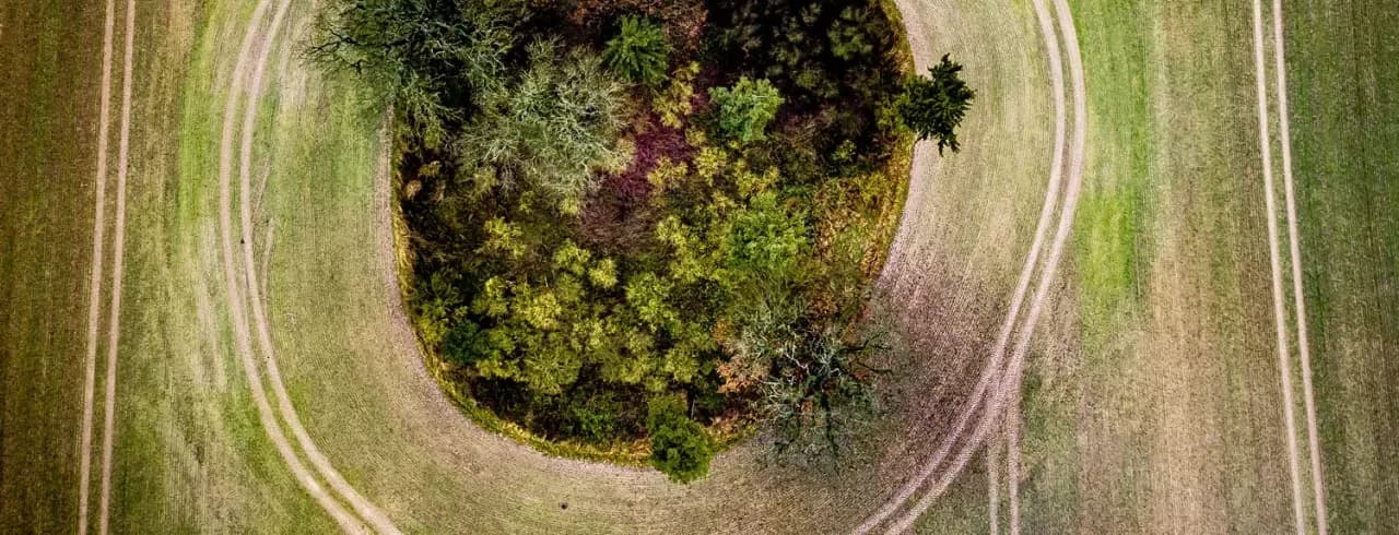 La Revolución Verde: Agricultura Sostenible y Economía Circular