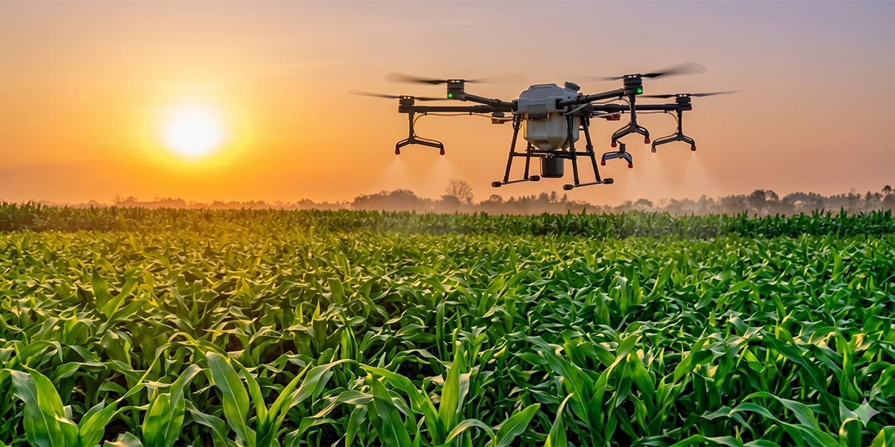 IA y drones: una revolución para optimizar la gestión agrícola